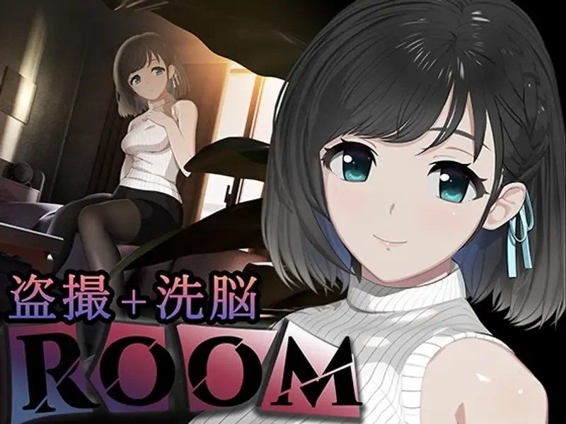 ROOM ROOM游戏攻略界面系统路线建议 封面图